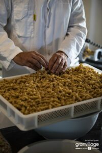 GRA_7997 copie (Personnalisé)