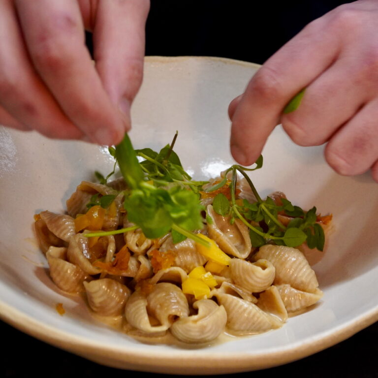 marais-mandibule_-_119