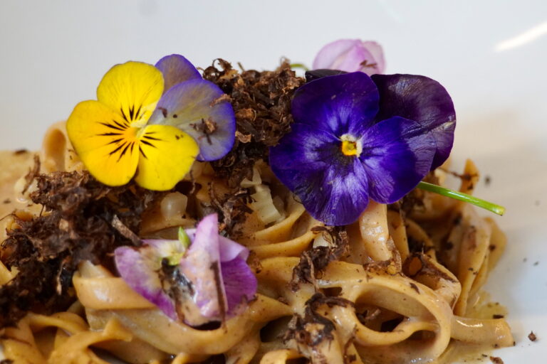 marais-mandibule_-_199